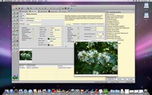 screenshot_osx_1_sml