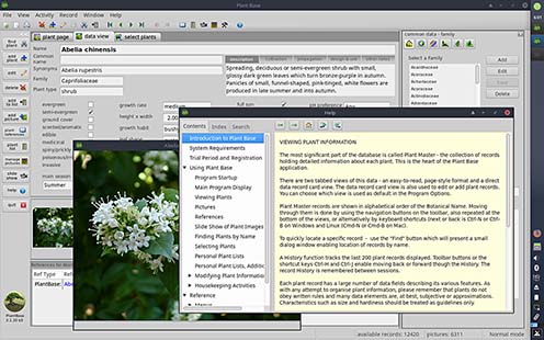Screenshot Plant Base Linux