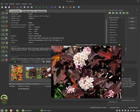 Plant Base using Linux Mint 20 Cinnamon with dark theme